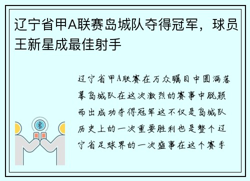 辽宁省甲A联赛岛城队夺得冠军，球员王新星成最佳射手